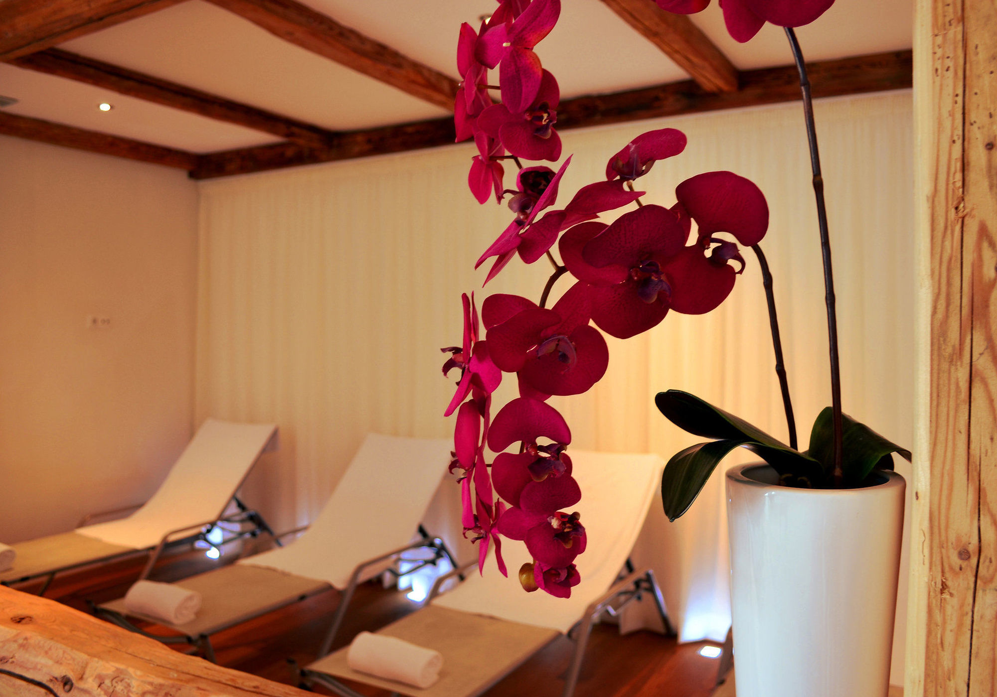 Kuhotel By Rilano Bald Elaya Hotel Steinplatte Waidring Dış mekan fotoğraf
